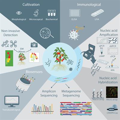 Frontiers Current And Emerging Trends In Techniques For Plant